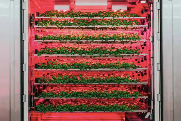The results of CubicFarms AGM of shareholders 2023 The results of CubicFarms AGM of shareholders 2023