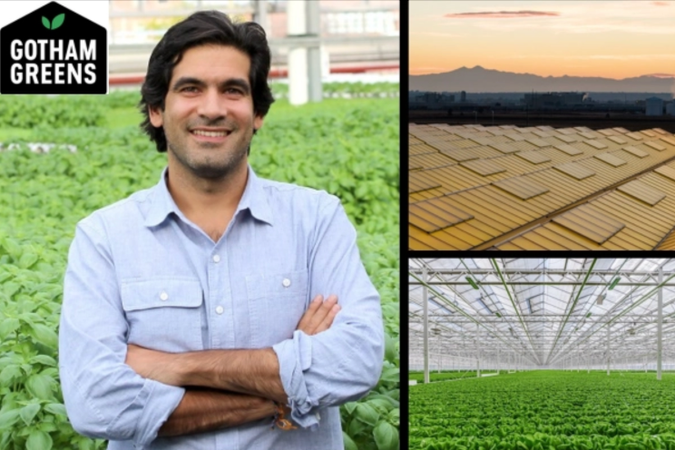 Gotham Greens CEO talks sustainable growth & innovative tech