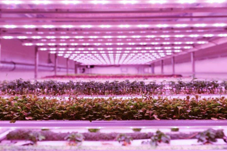 Dutch firm’s mega VF produces in Singapore Dutch firm’s mega VF produces in Singapore