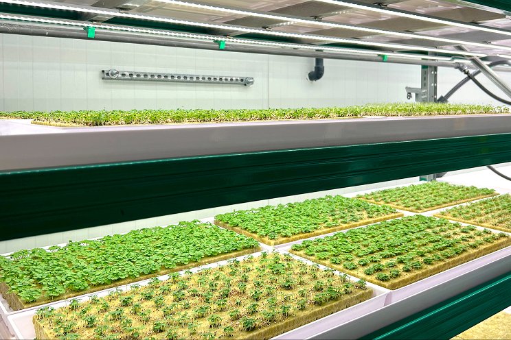 VF: Propelling agriculture into a new era of sustainability VF: Propelling agriculture into a new era of sustainability