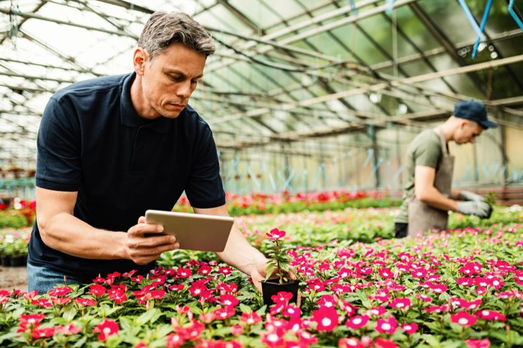 7 tips to securing a successful software app 7 tips to securing a successful software app