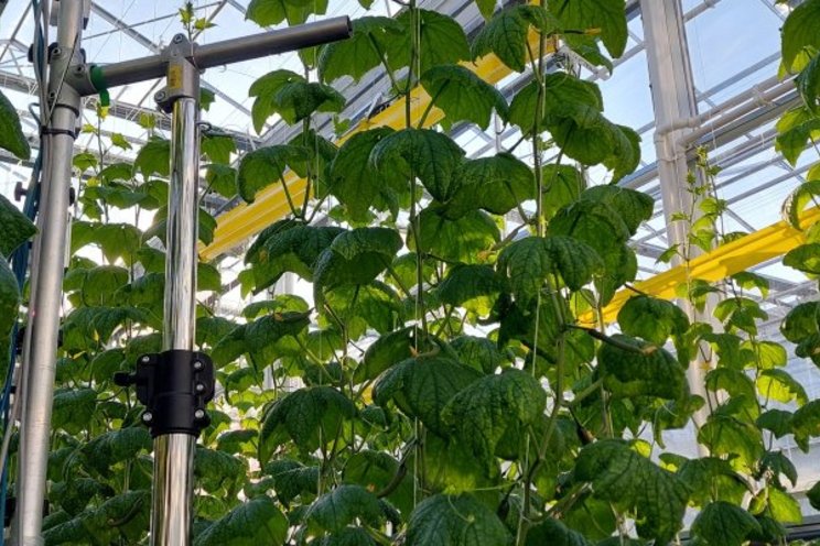 AGROS II: Smart cultivation with an autonomous platform AGROS II: Smart cultivation with an autonomous platform