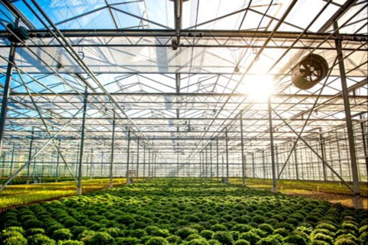 Shading products to improve plant production Shading products to improve plant production