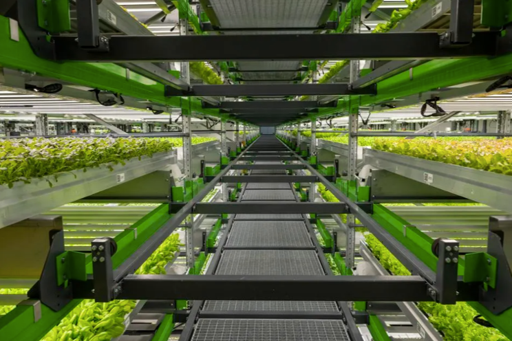 Supermarkets and shoppers must embrace vertical farming