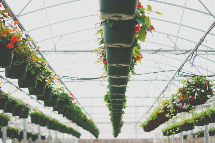 Greenhouse business trends impacting insurance in 2024 Greenhouse business trends impacting insurance in 2024