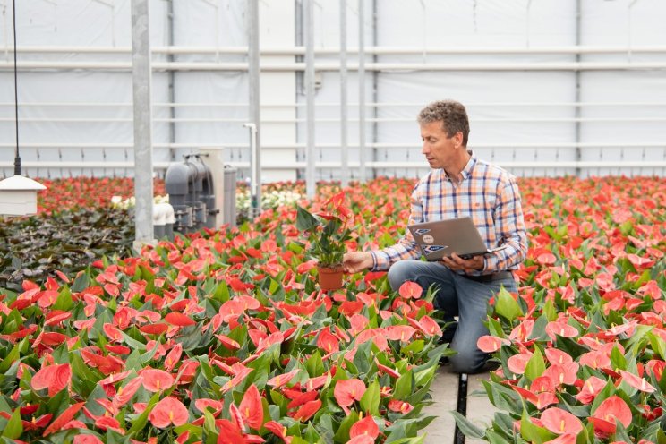 The digital revolution in potted plant cultivation