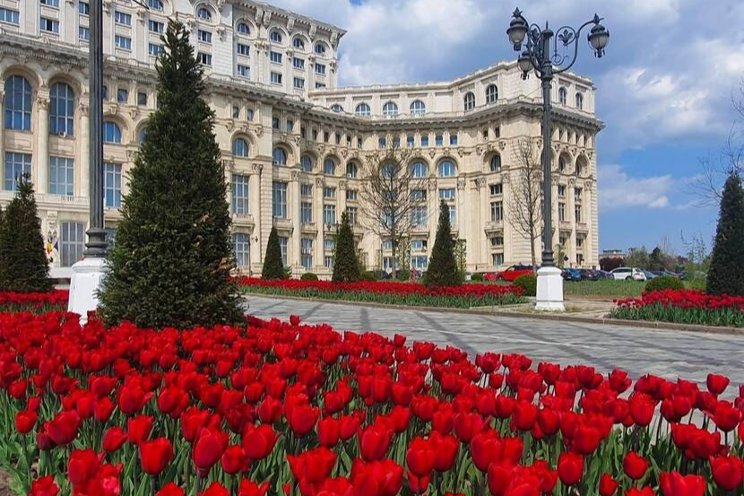 Floral holidays fuel a boom in Romania’s flower sales
