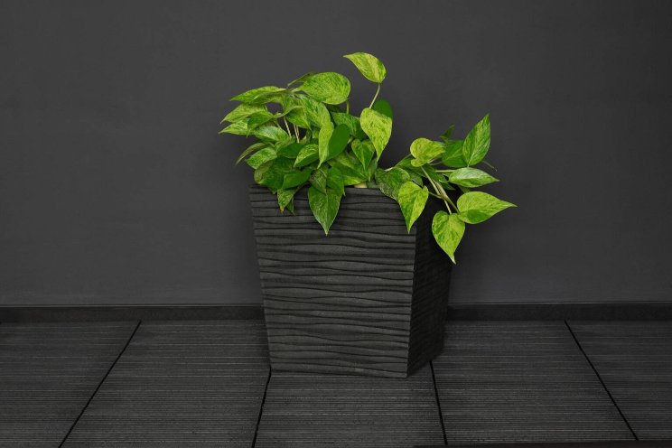 UK-based Primeur launches next generation of recycled planters