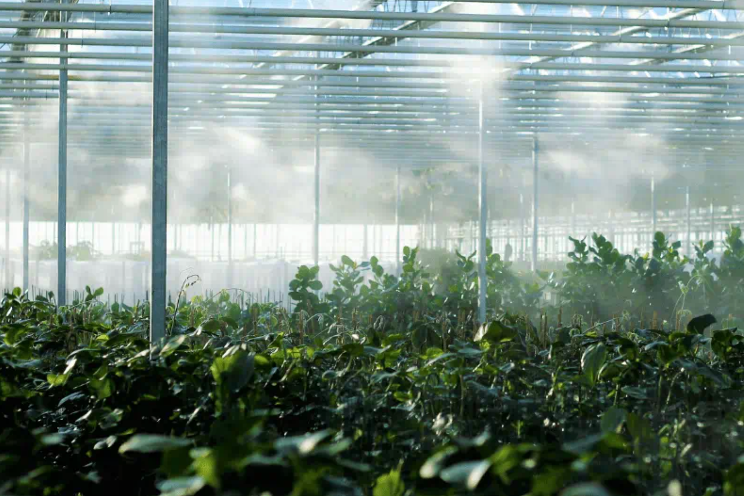 Clean water also improves quality and taste of product