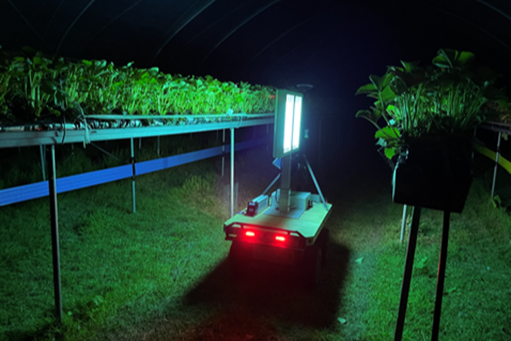 UV robot against powdery mildew UV robot against powdery mildew