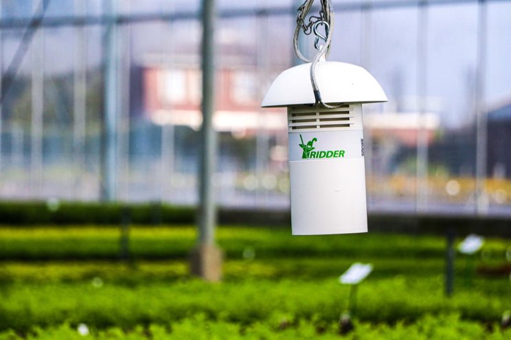 How AI in your greenhouse will make you smarter? How AI in your greenhouse will make you smarter?