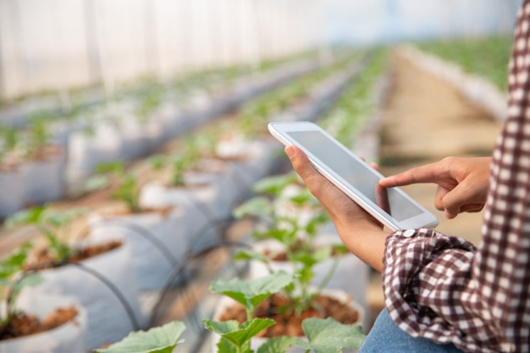 Smart farms distinguish district in Jinan Smart farms distinguish district in Jinan