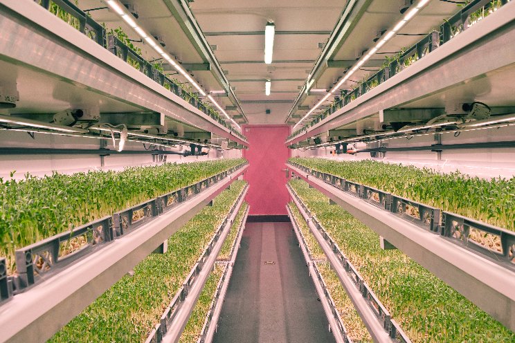Renewably powered aeroponic farms for greener produce