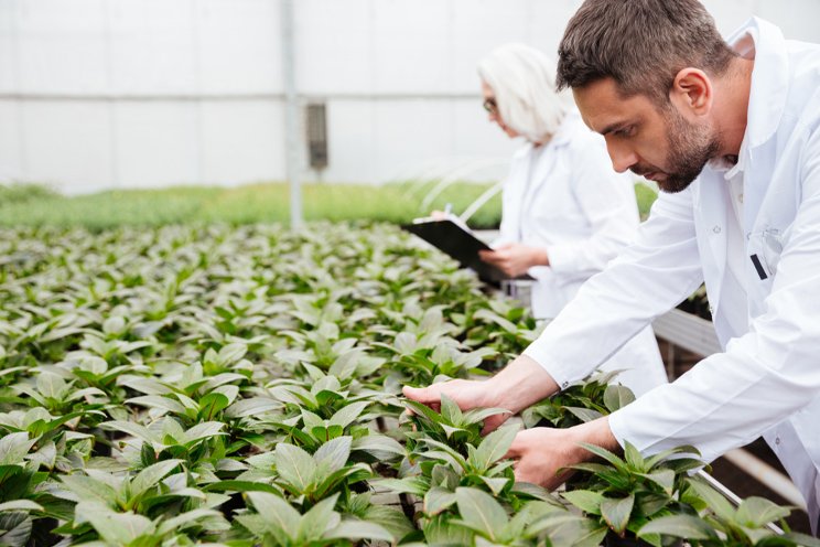 Automating your growing operation: Unlocking yield, health, and efficiency Automating your growing operation: Unlocking yield, health, and efficiency