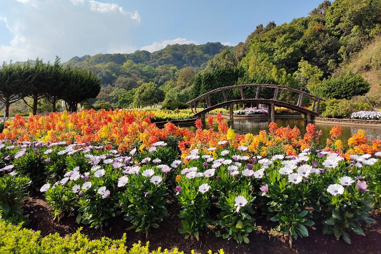 NGB’s Green Thumb Award now accepting entries NGB’s Green Thumb Award now accepting entries
