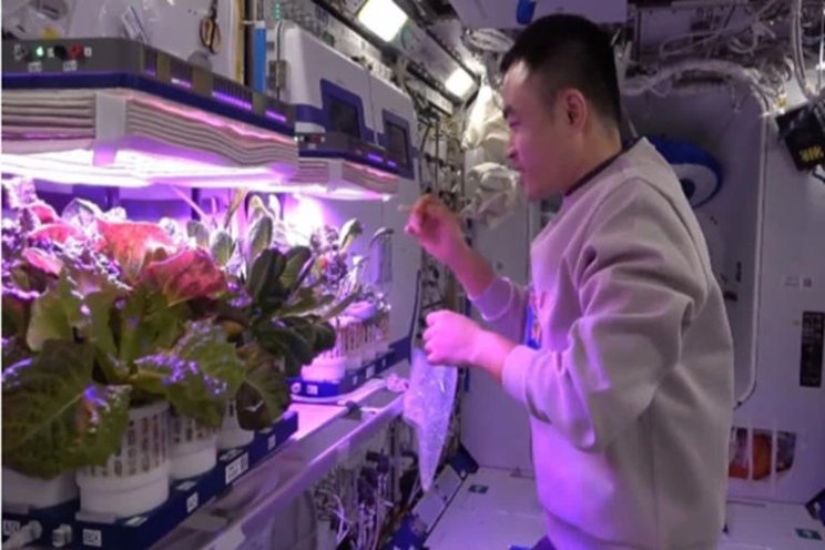 Chinese astronauts grow vegetables in space