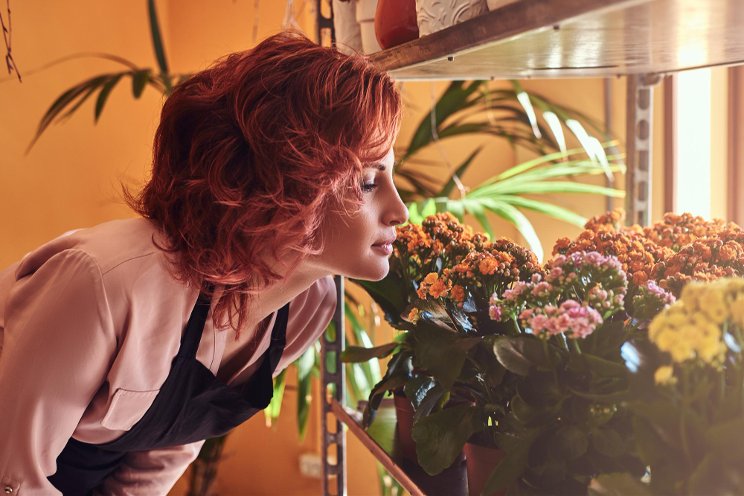Floriculture trends in the USDA AgCensus Floriculture trends in the USDA AgCensus