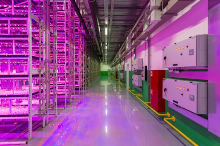 New special report explores what's next for vertical farming