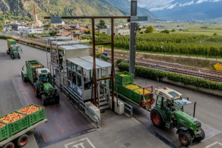 FRUIT LOGISTICA Spotlights 2025: Discover innovations now FRUIT LOGISTICA Spotlights 2025: Discover innovations now