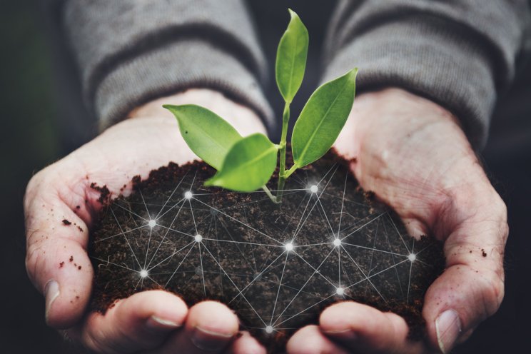 Can agritech transform the future of food? Can agritech transform the future of food?