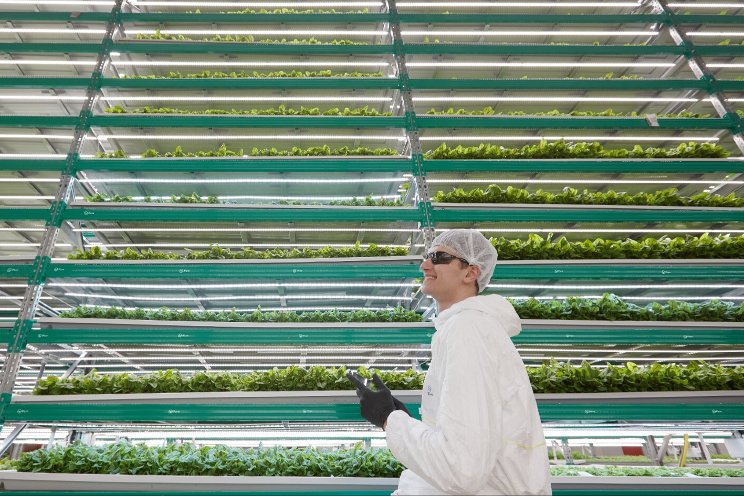 Market profile: Fresh greens and vertical farming in the UAE Market profile: Fresh greens and vertical farming in the UAE