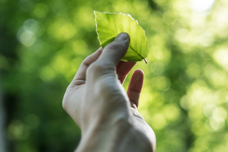 Becoming an environmentalist while trying to turn a profit Becoming an environmentalist while trying to turn a profit