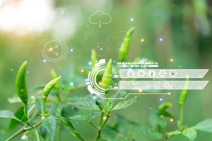 The novel crop nutrition solutions via AI