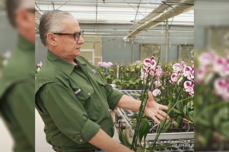 Agro Orchids uses Svensson's climate screens in Costa Rica