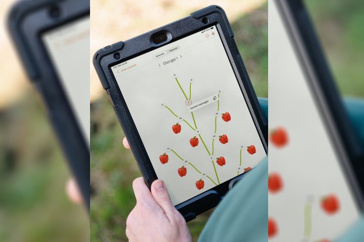 Plant App to support pepper and cucumber cultivations