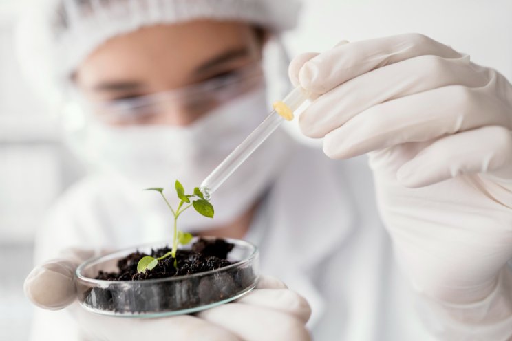 Hunan advances application of smart greenhouses in pepper Hunan advances application of smart greenhouses in pepper