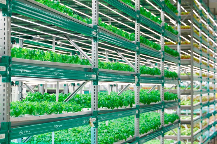 iFarm will build a VF in Nuanu iFarm will build a VF in Nuanu