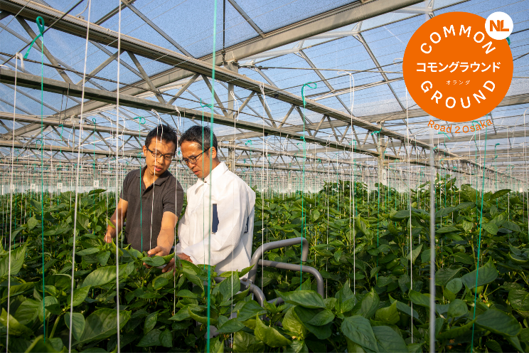 Smart agri between Japan and the Netherlands