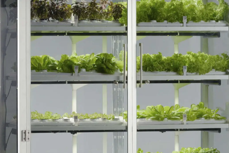 Virginia Venture Partners invests in Babylon Micro-Farms