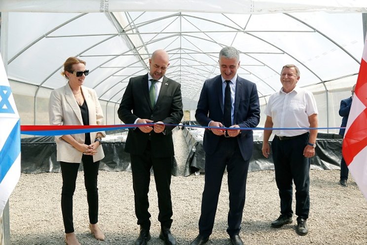 $95K greenhouse opens in Georgia with Israeli support