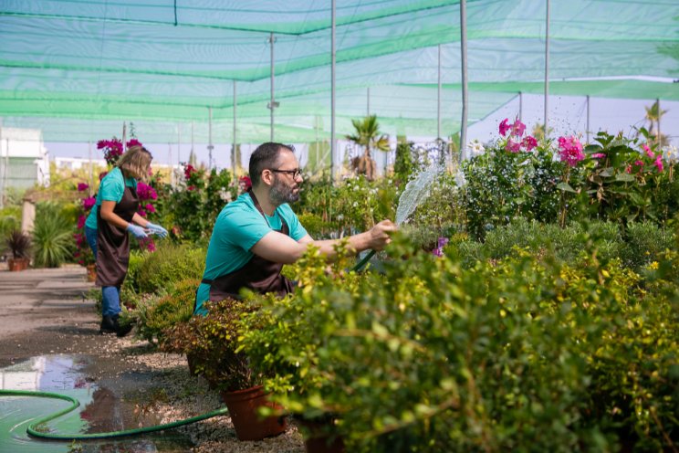Gardening attitudes for 2025 Gardening attitudes for 2025
