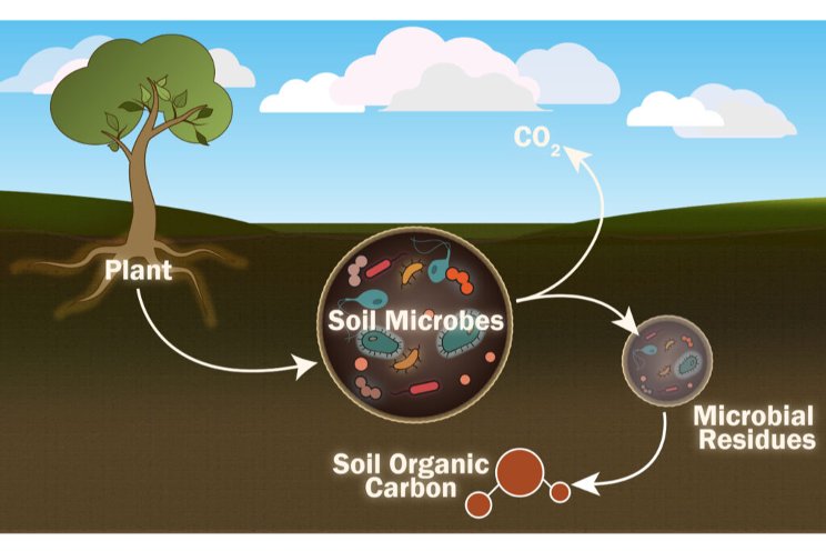 Bridging the gap in soil health