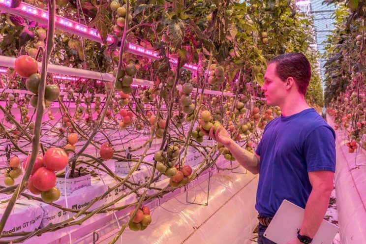 The benefits of data-driven greenhouse growing The benefits of data-driven greenhouse growing