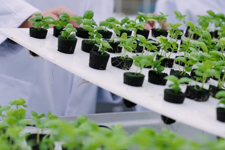 LettUs Grow & Innovative Growers Equipment announce partnership