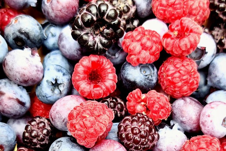 Rijk Zwaan starts breeding soft fruit