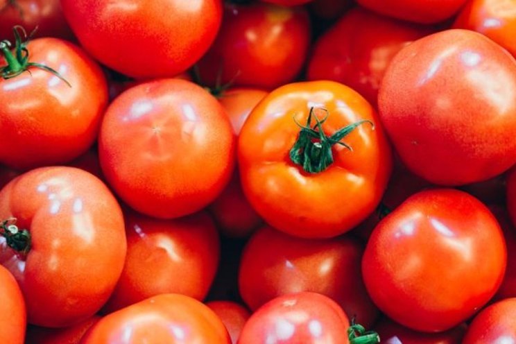 Reliable measurement of the shelf life of tomato