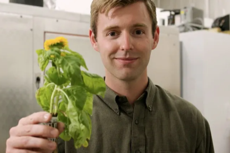 Funding to boost aeroponic seed pod production