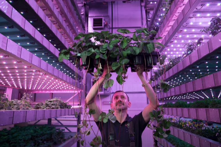 IGS pioneer to create 114 jobs in US expansion IGS pioneer to create 114 jobs in US expansion