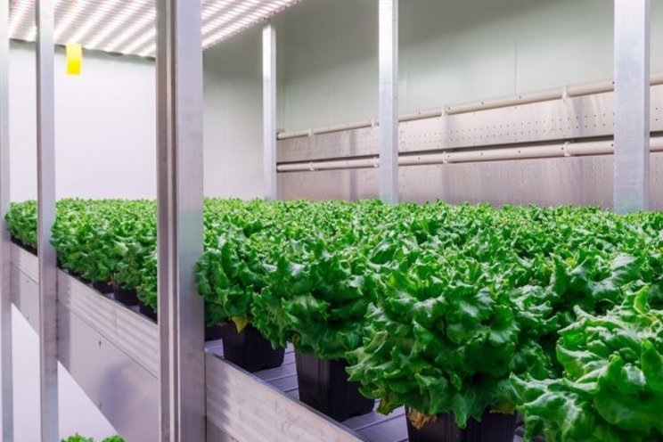 A fair comparison between high-tech greenhouses and VF