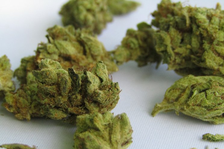 Are Kentucky medical marijuana cards real?