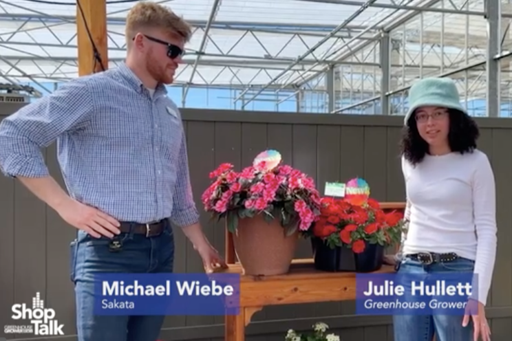 Sunpatiens and Supercal updates from Sakata Ornamentals