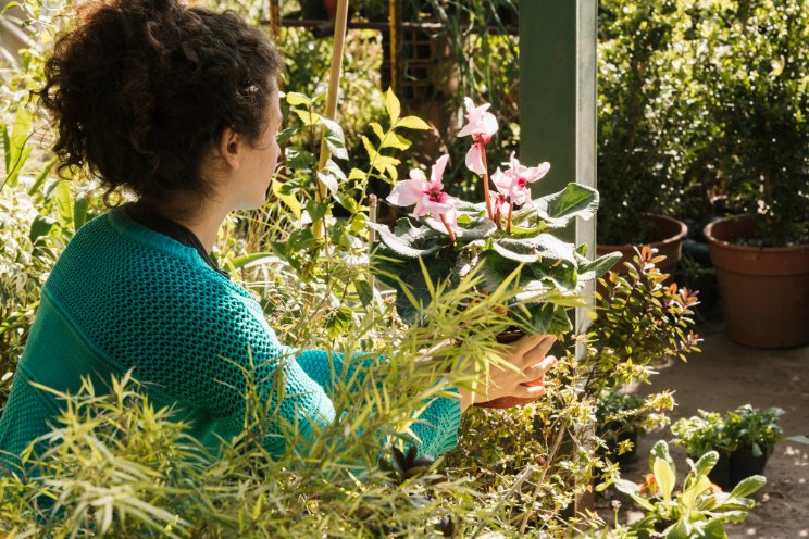 What is companion planting? Guide for home gardens What is companion planting? Guide for home gardens