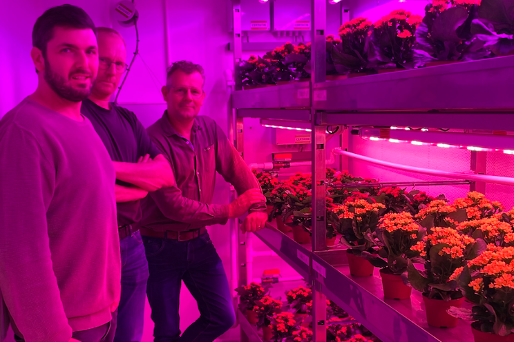 Dimmable Philips LED will help next generation growers