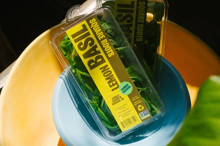 Square Roots launches new lemon basil