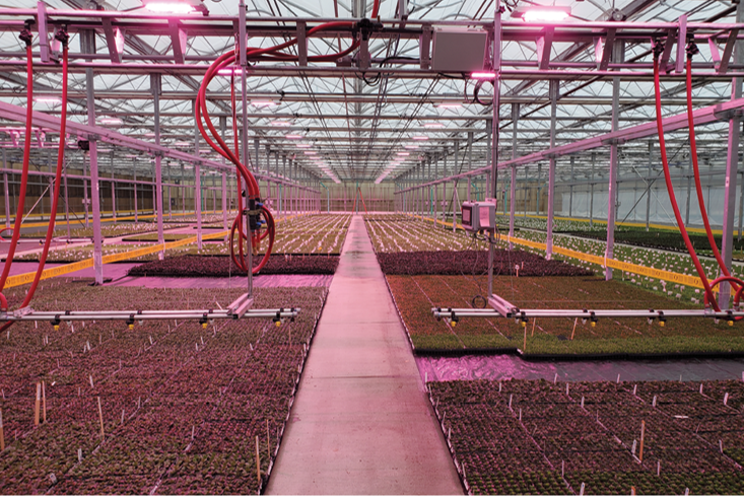 Walters Gardens: An early adopter of LED lighting