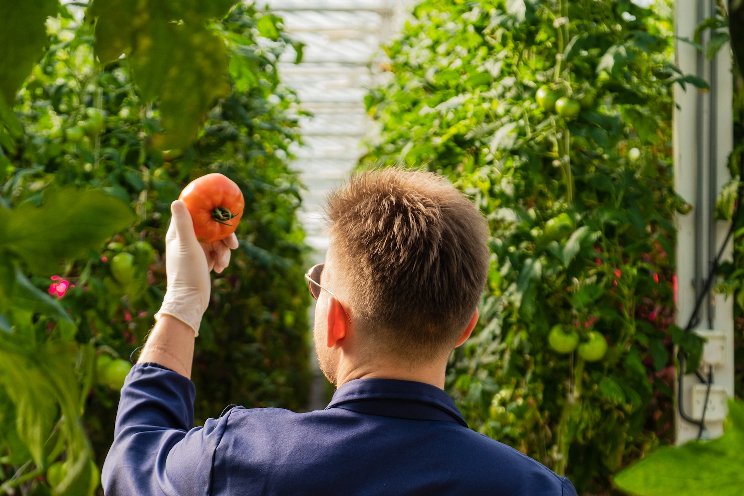 Canada saw decline in availability of fresh food Canada saw decline in availability of fresh food